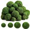 Moss Decorative Ball Natural Green, Handmade Moss Ball Spheres, Vase Fillers for Christmas Garden Home Wedding Party Decoration